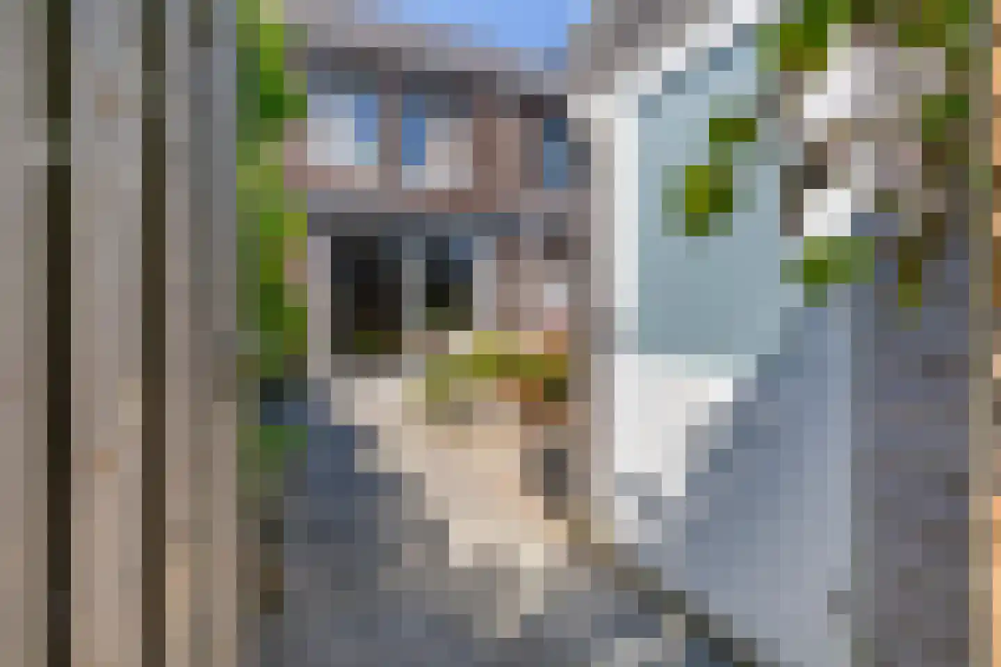 Gemetstraat 43 Vierpolders thumbnail 36