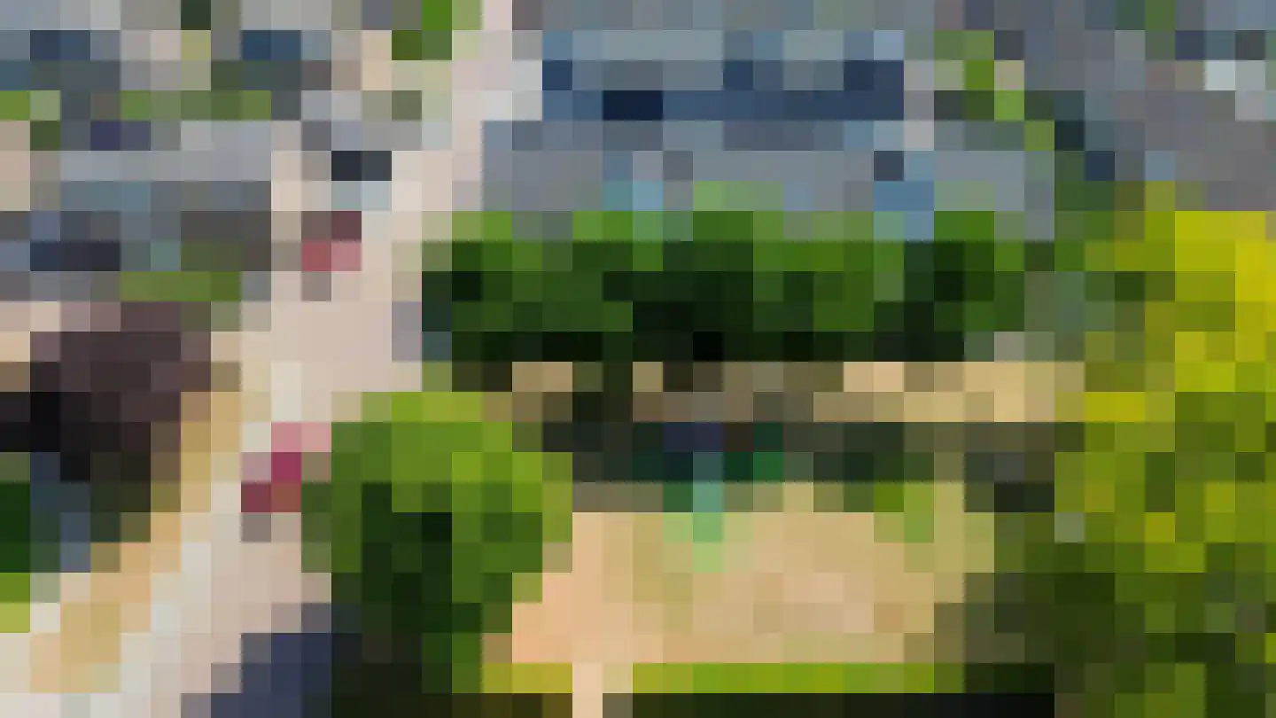 Gemetstraat 43 Vierpolders thumbnail 41
