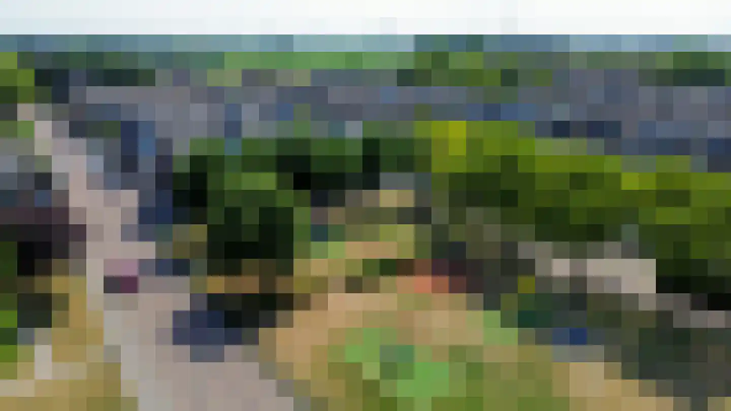 Gemetstraat 43 Vierpolders thumbnail 42