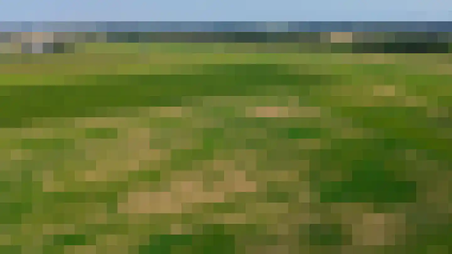 Gemetstraat 43 Vierpolders thumbnail 46