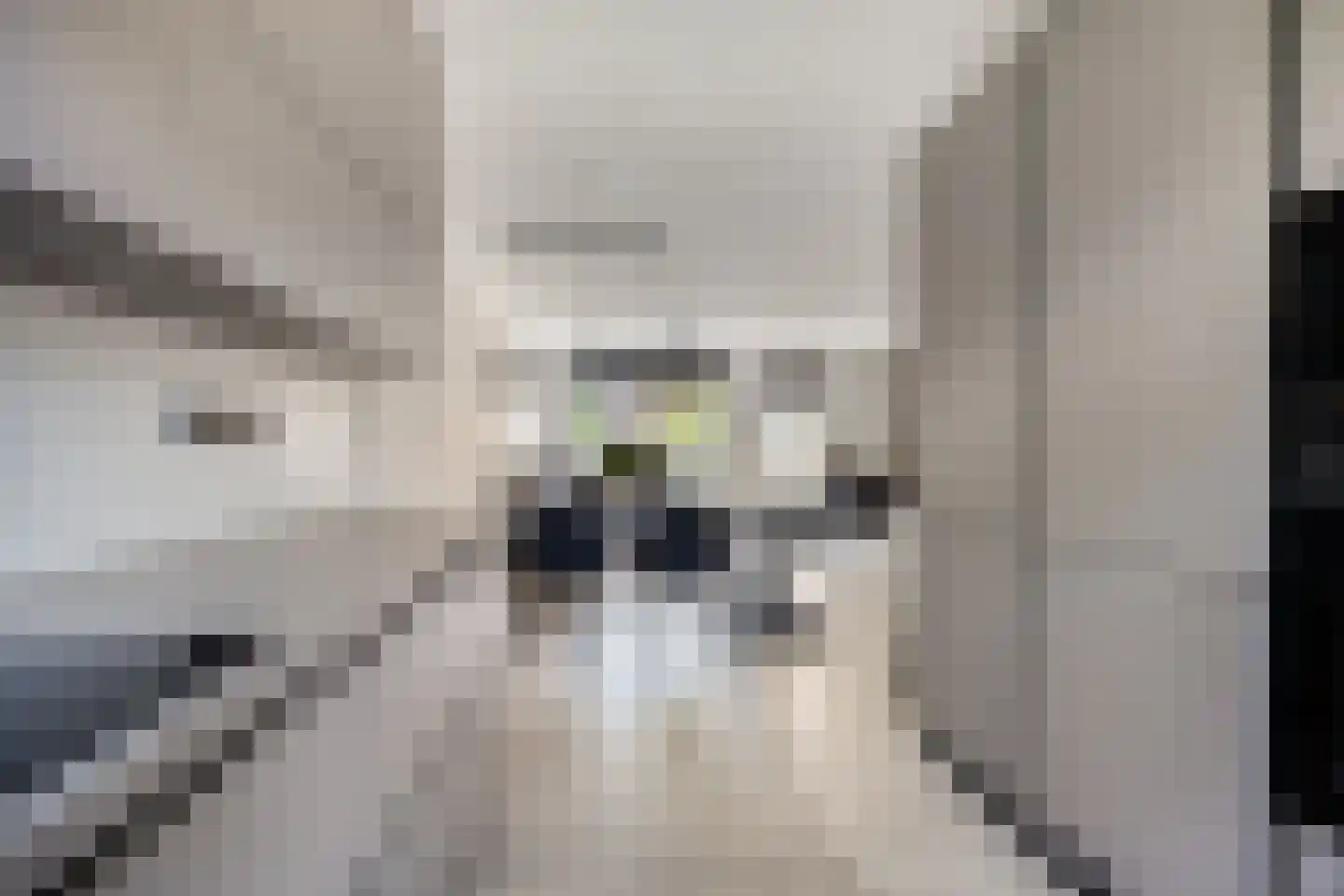 Gemetstraat 5 Purmerend thumbnail 15
