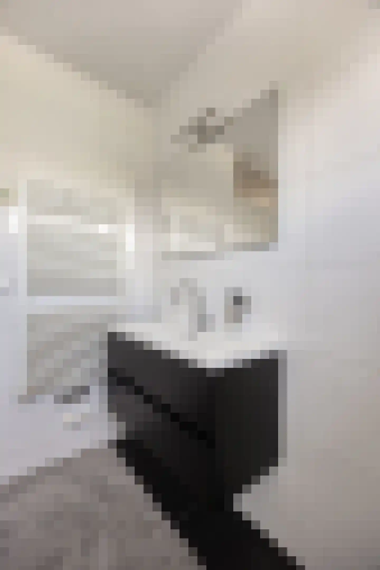 Gemetstraat 5 Purmerend thumbnail 39