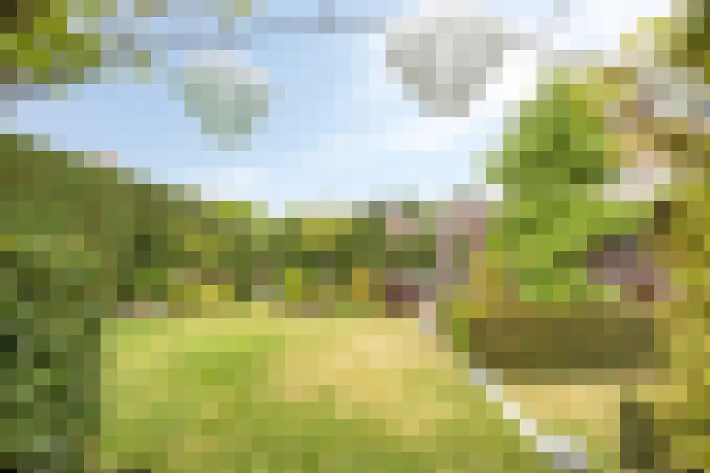 Gemeynte 4 a Hoogerheide thumbnail 43