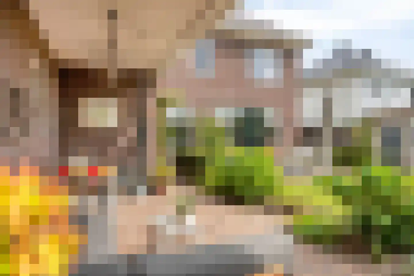 Gemeynte 4 a Hoogerheide thumbnail 45