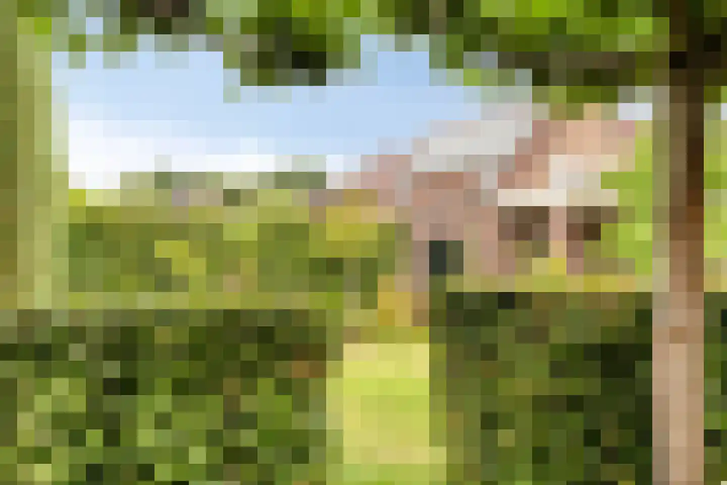 Gemeynte 4 a Hoogerheide thumbnail 46