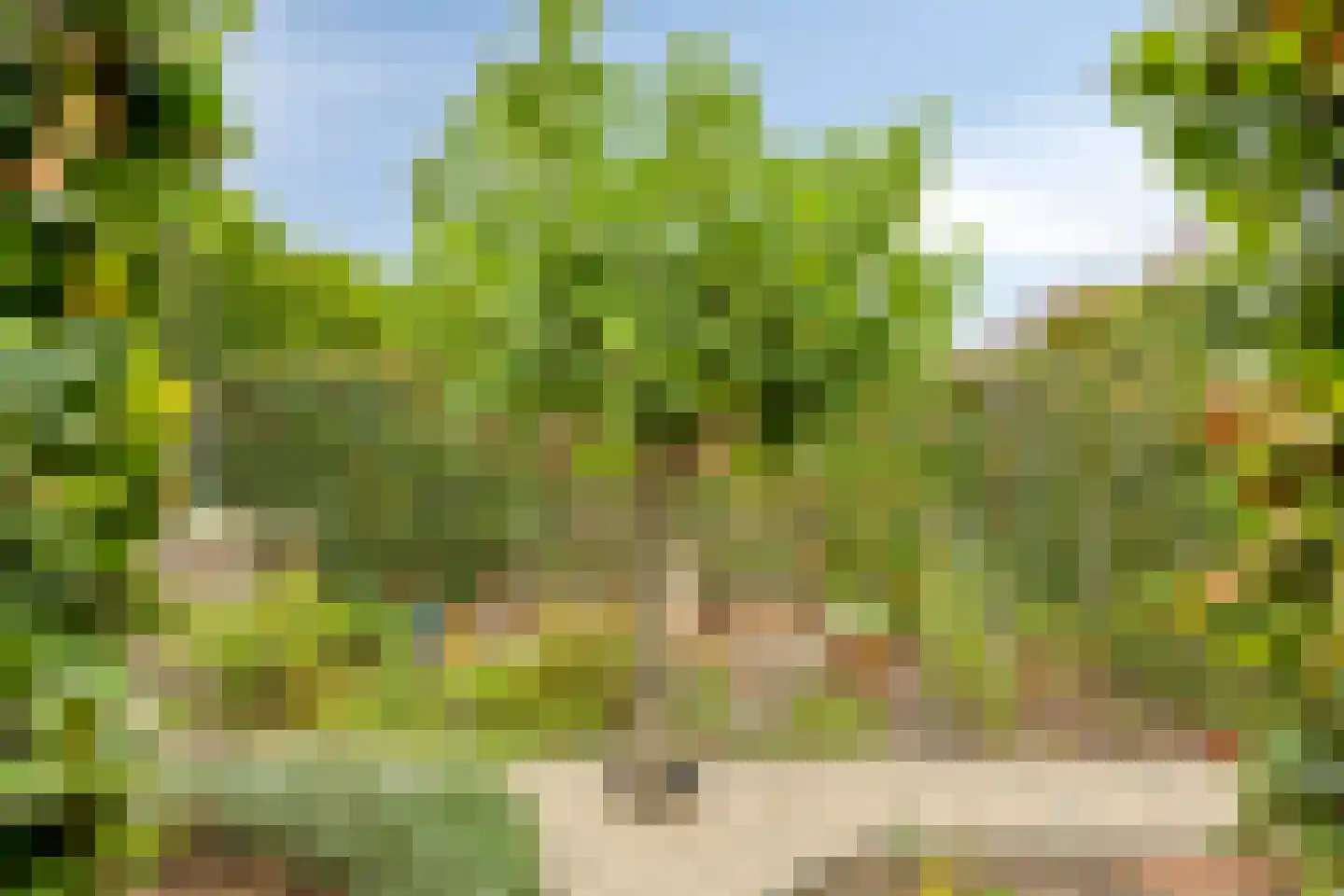 Gemeynte 4 a Hoogerheide thumbnail 47