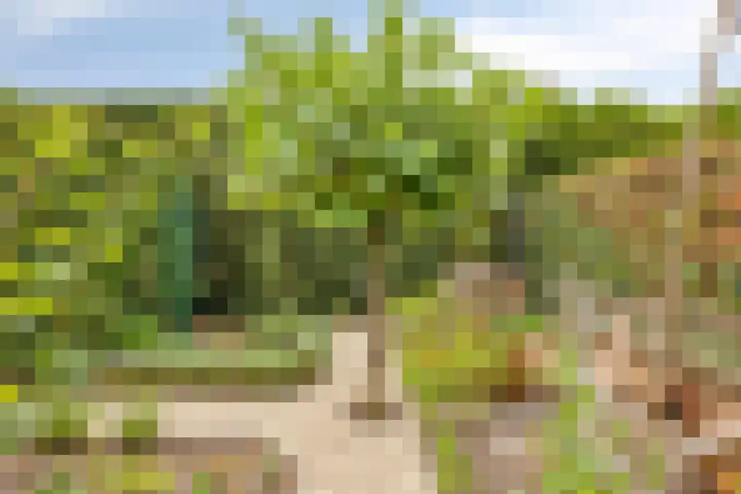 Gemeynte 4 a Hoogerheide thumbnail 48