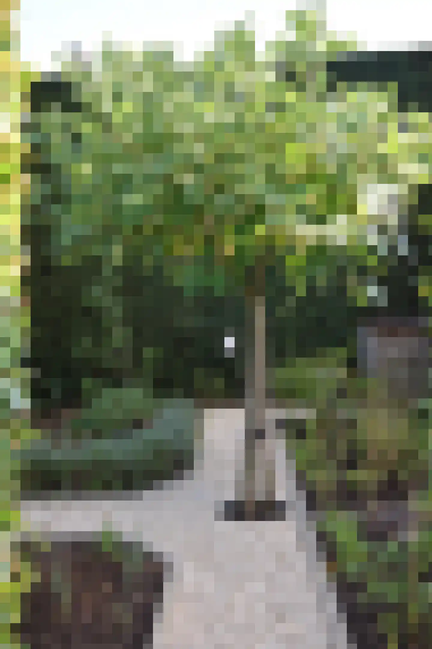 Gemeynte 4 a Hoogerheide thumbnail 49