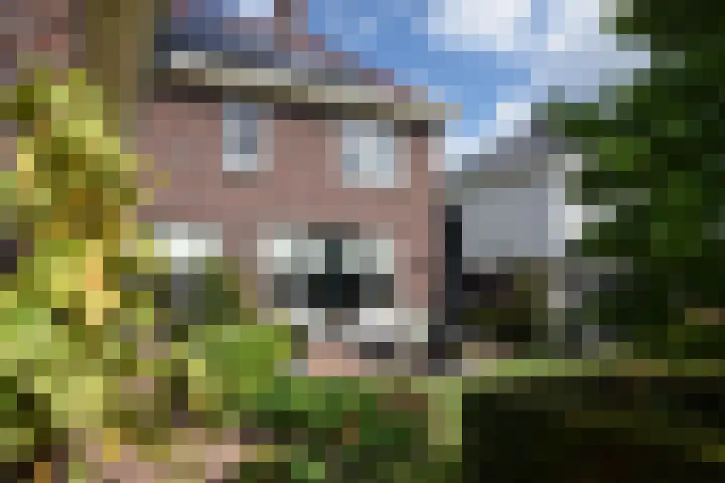 Gemeynte 4 a Hoogerheide thumbnail 5