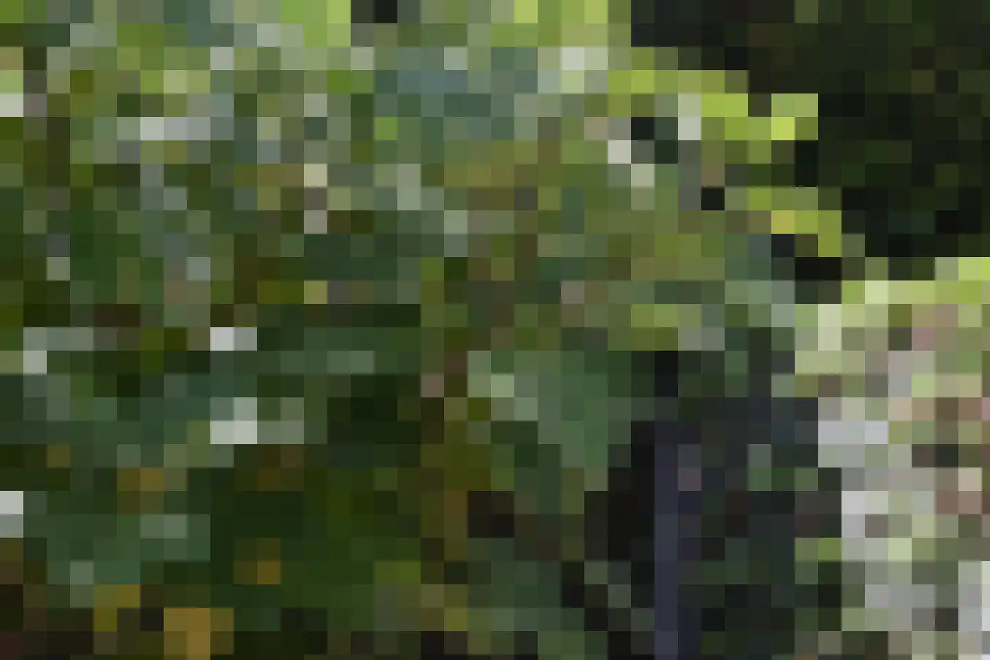 Gemeynte 4 a Hoogerheide thumbnail 50
