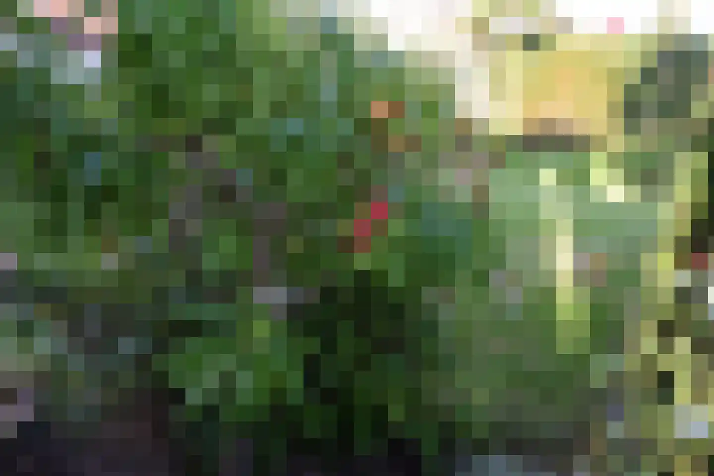 Gemeynte 4 a Hoogerheide thumbnail 51