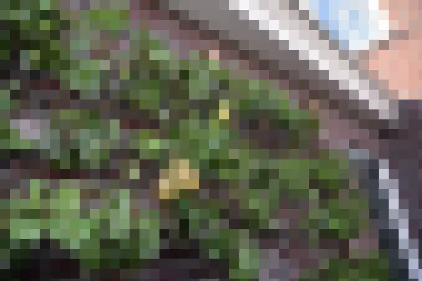 Gemeynte 4 a Hoogerheide thumbnail 52