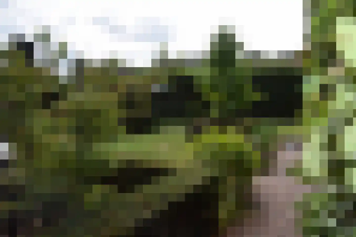 Gemeynte 4 a Hoogerheide thumbnail 53