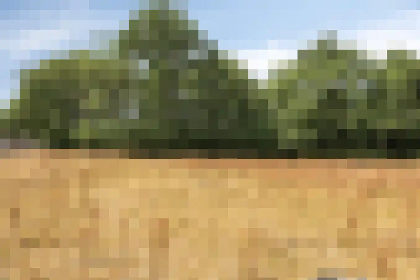 Gemeynte 4 a Hoogerheide thumbnail 58