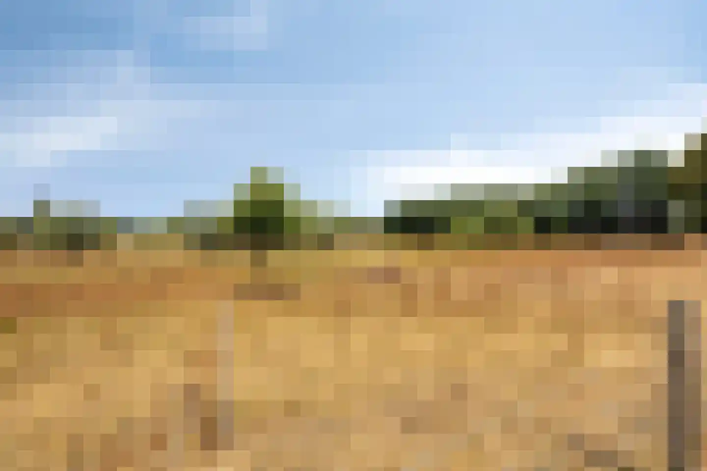 Gemeynte 4 a Hoogerheide thumbnail 59