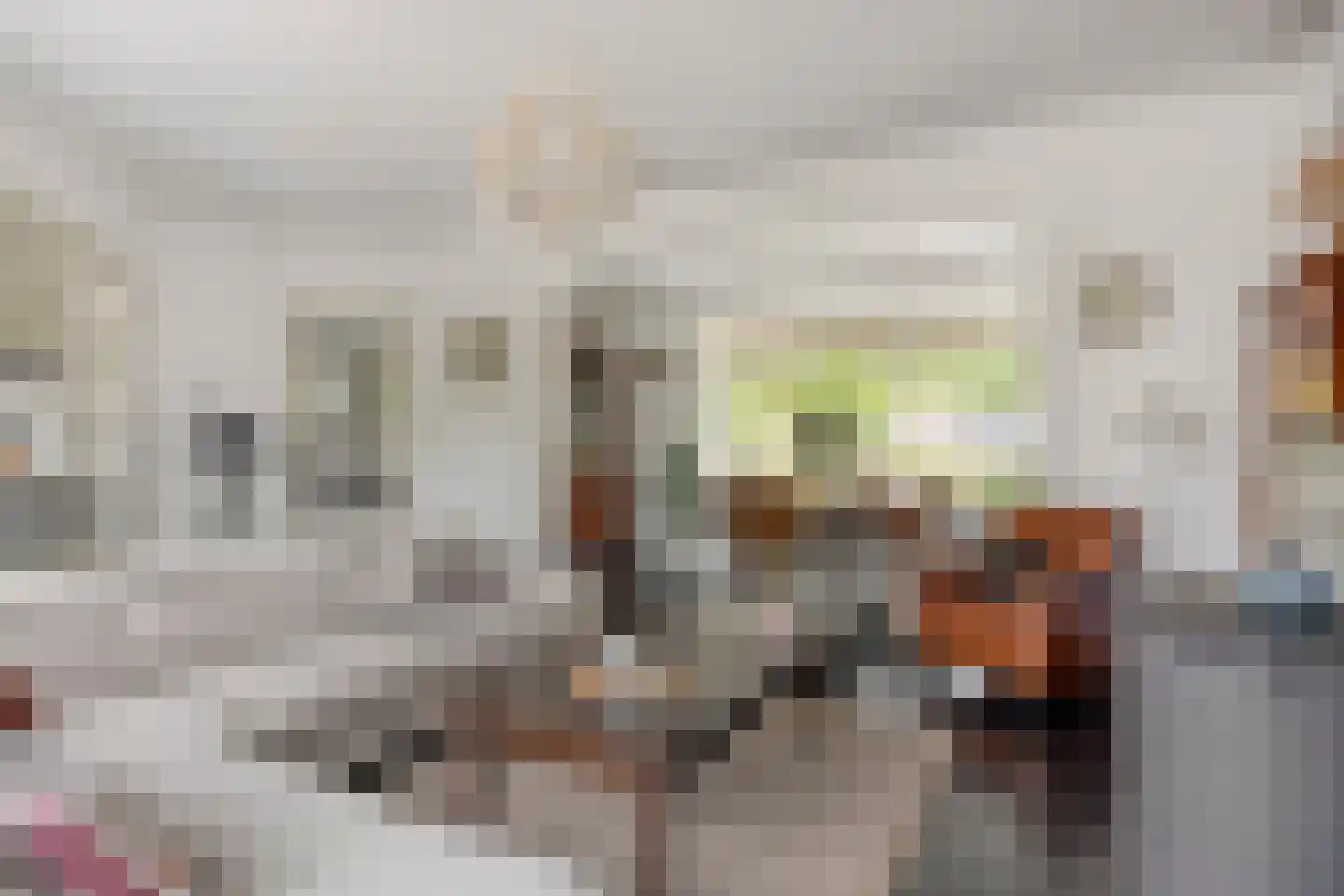 Gemeynte 4 a Hoogerheide thumbnail 6