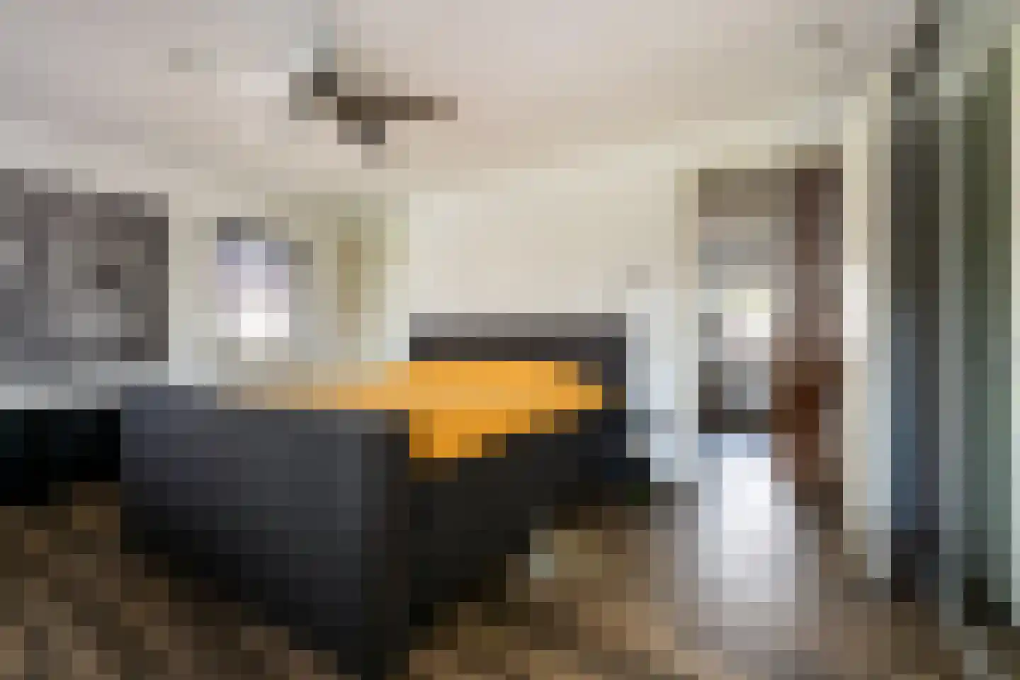 Gemeynte 8 Hoogerheide thumbnail 20