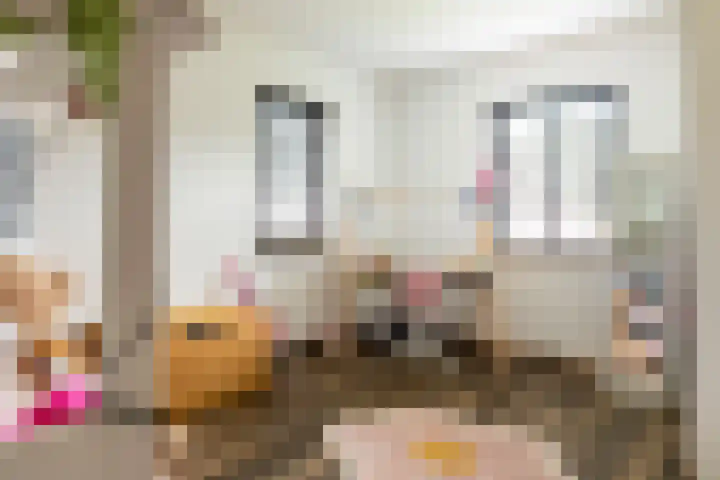 Gemeynte 8 Hoogerheide thumbnail 27