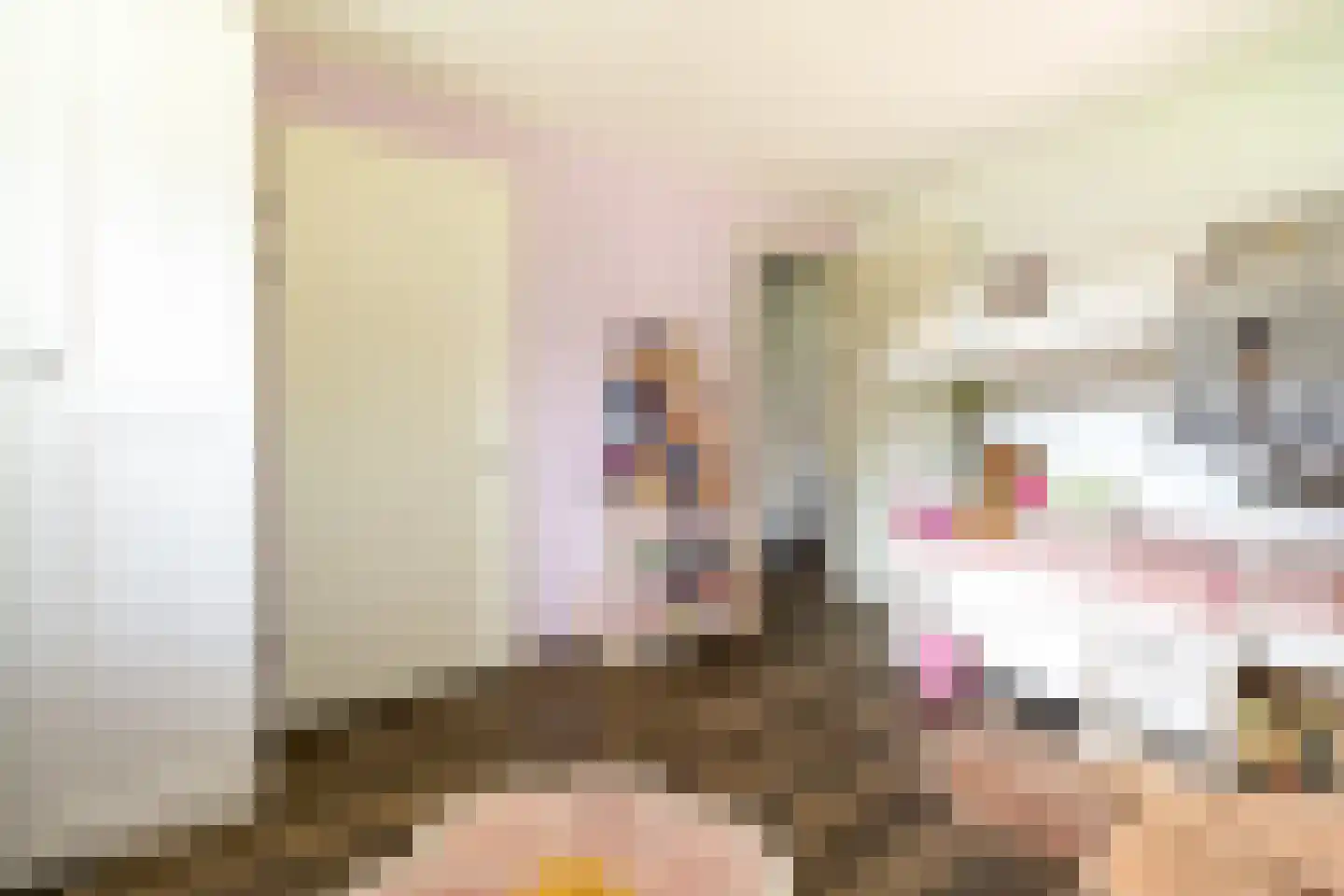 Gemeynte 8 Hoogerheide thumbnail 28