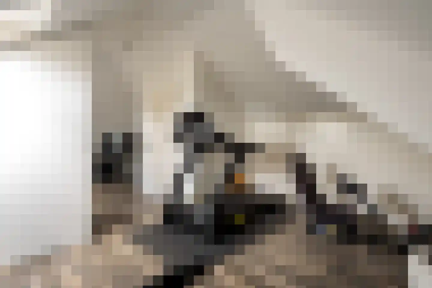 Gemeynte 8 Hoogerheide thumbnail 36