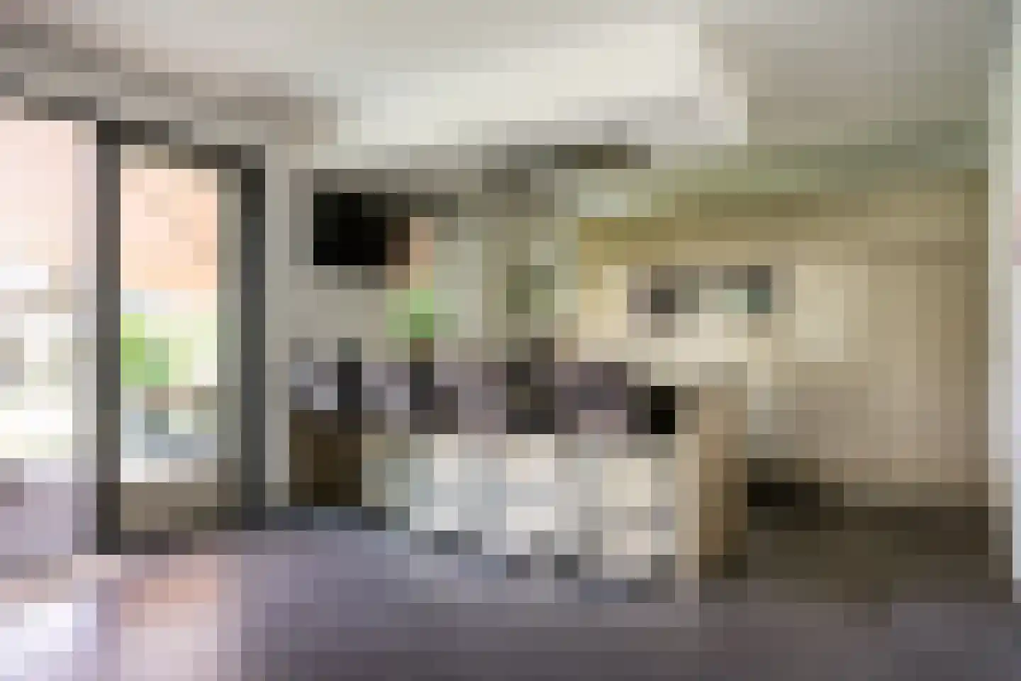 Gemeynte 8 Hoogerheide thumbnail 4