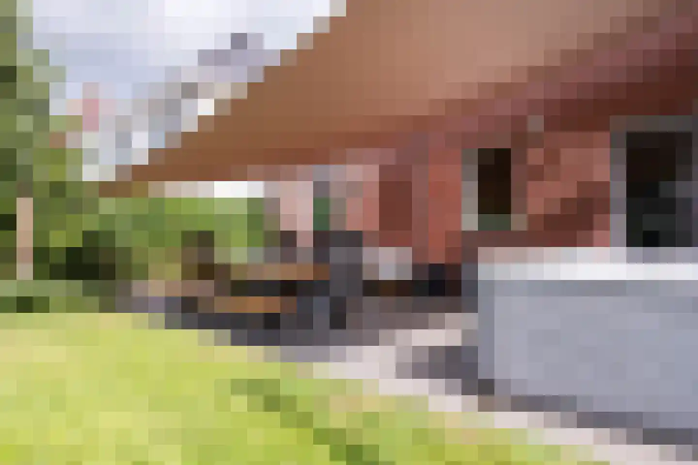 Gemeynte 8 Hoogerheide thumbnail 41