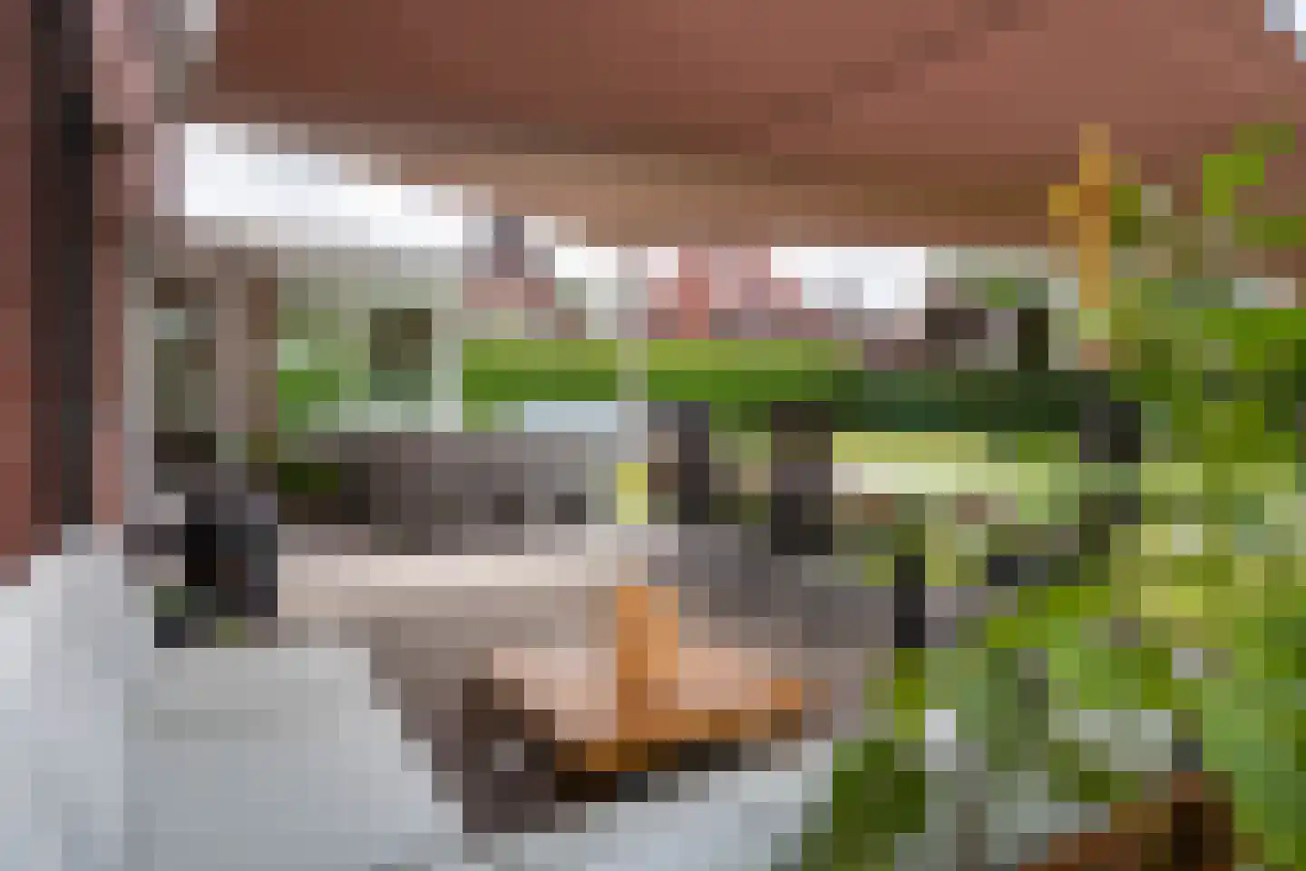 Gemeynte 8 Hoogerheide thumbnail 43