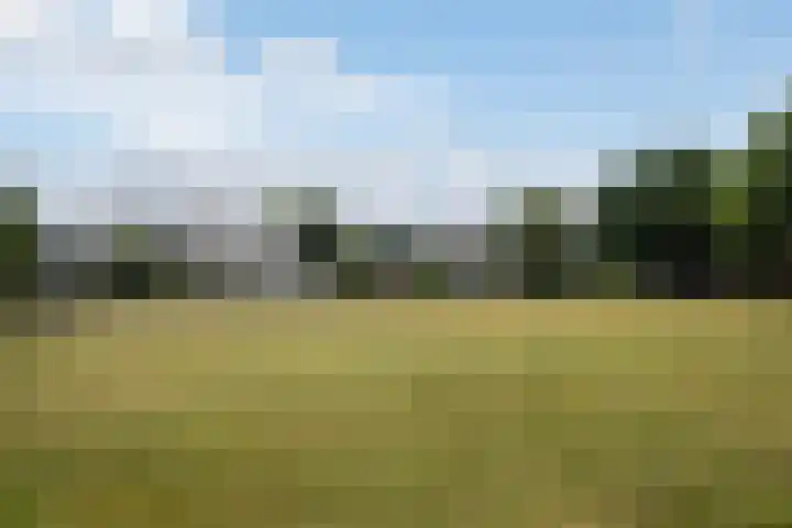 Gemini 237 Soesterberg thumbnail 34