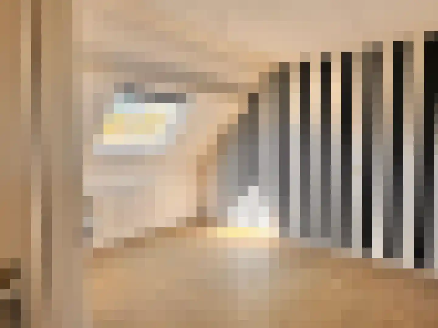 Gemini 30 Lemmer thumbnail 7