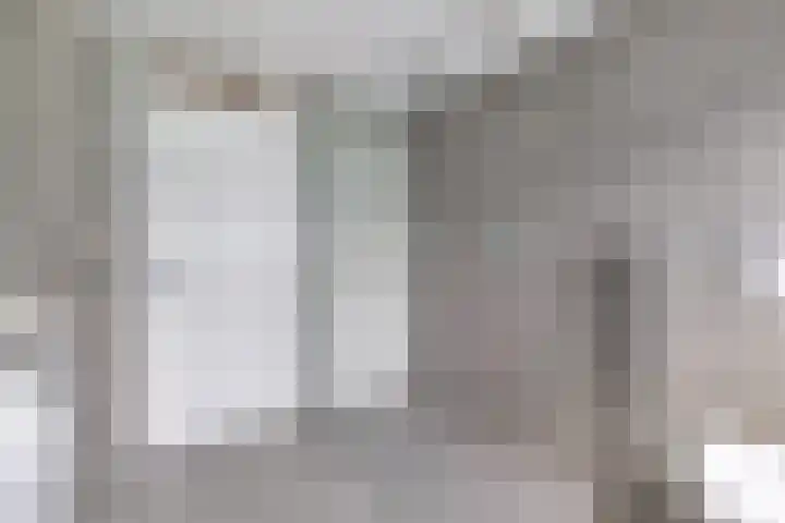 Gemini 8 Lemmer thumbnail 38