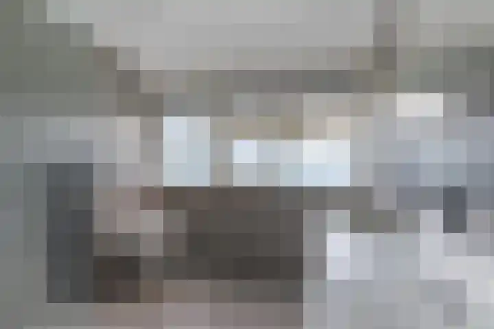 Gemini 8 Lemmer thumbnail 4