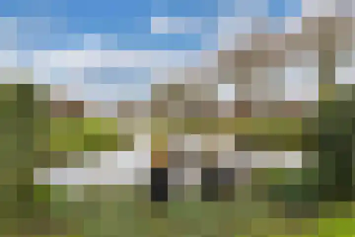 Gemini 8 Lemmer thumbnail 5