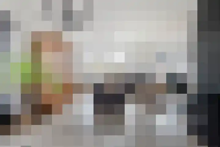 Gemini 8 Lemmer thumbnail 9