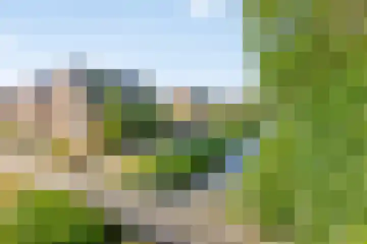 Geministraat 26 Dirkshorn thumbnail 5