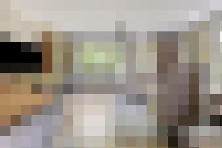 Geministraat 26 Dirkshorn thumbnail 7