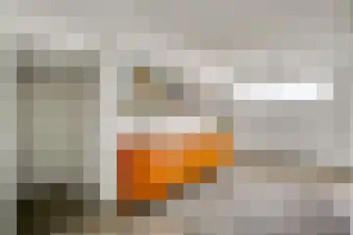 Geministraat 26 Dirkshorn thumbnail 8