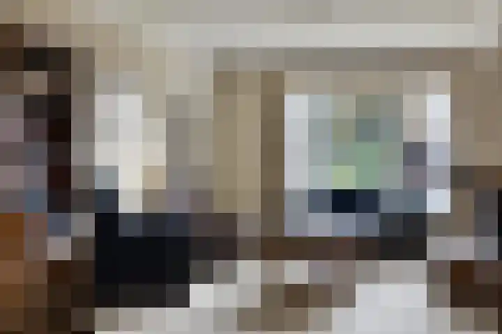 Gemmadal 14 Venray thumbnail 12