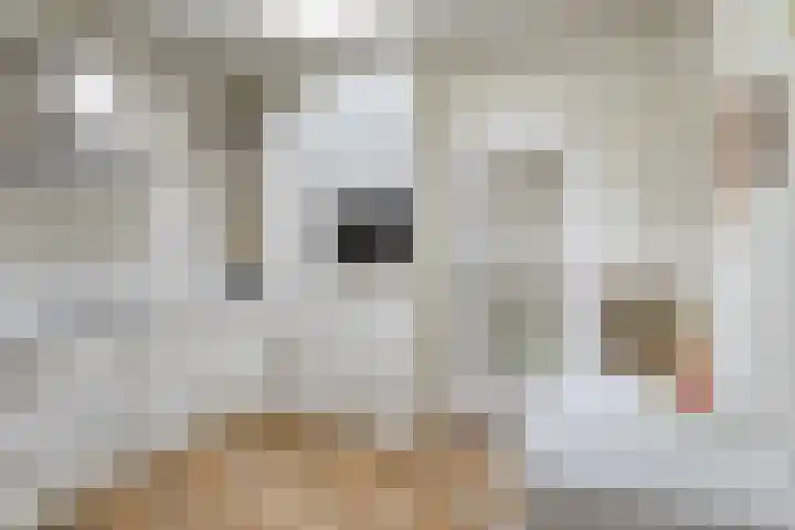 Gemmadal 14 Venray thumbnail 15