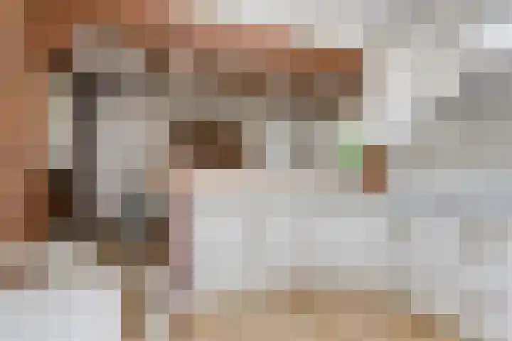 Gemmadal 14 Venray thumbnail 16