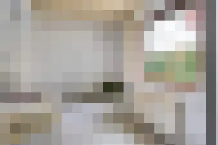 Gemmadal 14 Venray thumbnail 20