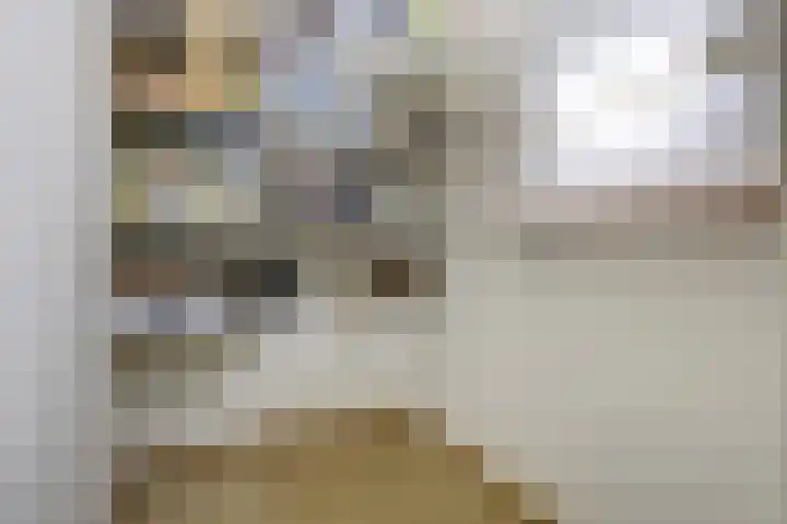 Gemmadal 14 Venray thumbnail 23