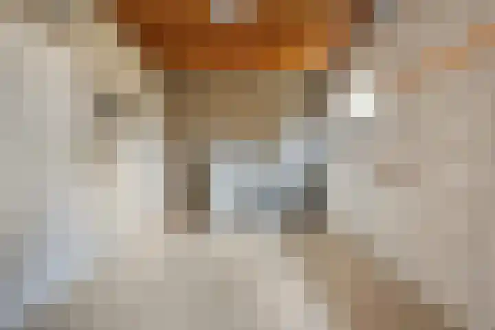 Gemmadal 14 Venray thumbnail 25