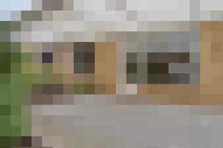 Gemmadal 14 Venray thumbnail 26