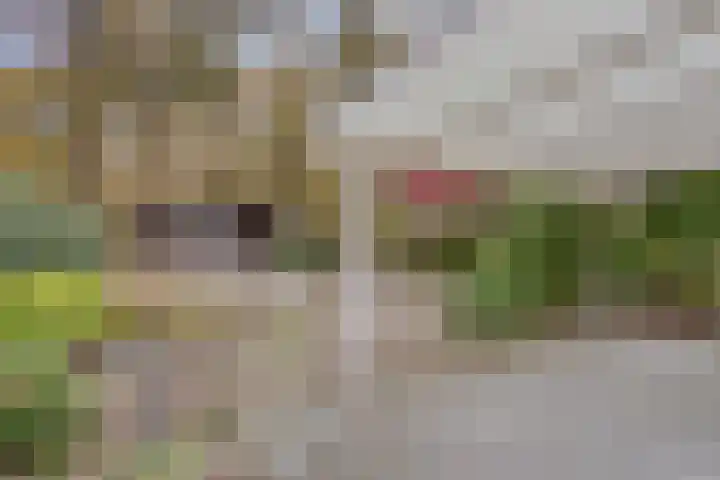 Gemmadal 14 Venray thumbnail 27