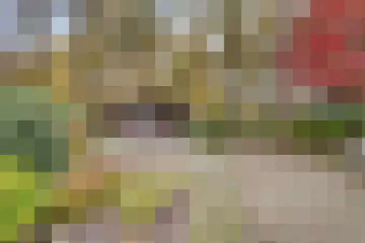 Gemmadal 14 Venray thumbnail 28