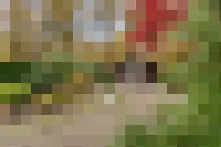 Gemmadal 14 Venray thumbnail 29