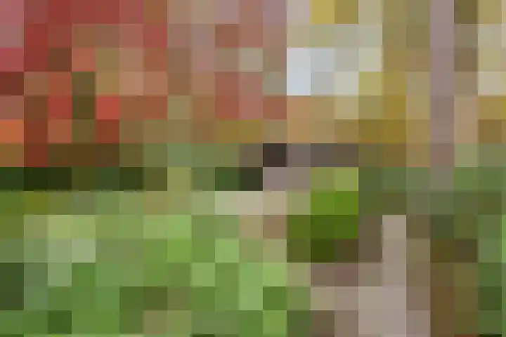 Gemmadal 14 Venray thumbnail 30