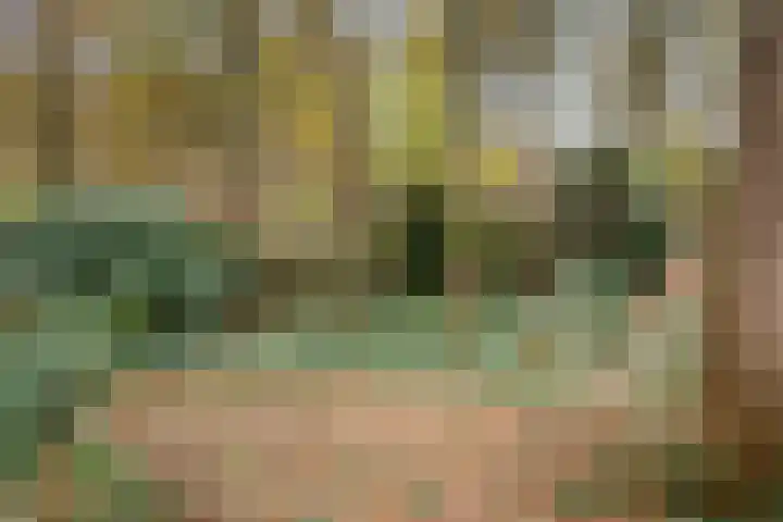 Gemmadal 14 Venray thumbnail 32