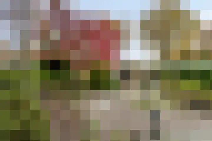 Gemmadal 14 Venray thumbnail 33