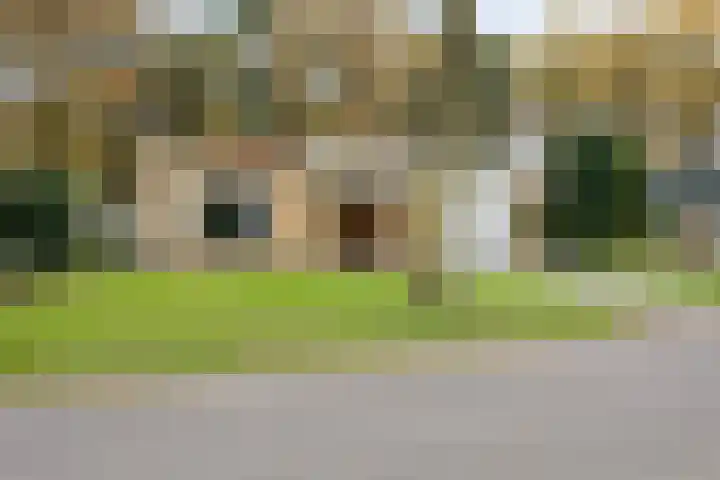 Gemmadal 14 Venray thumbnail 37